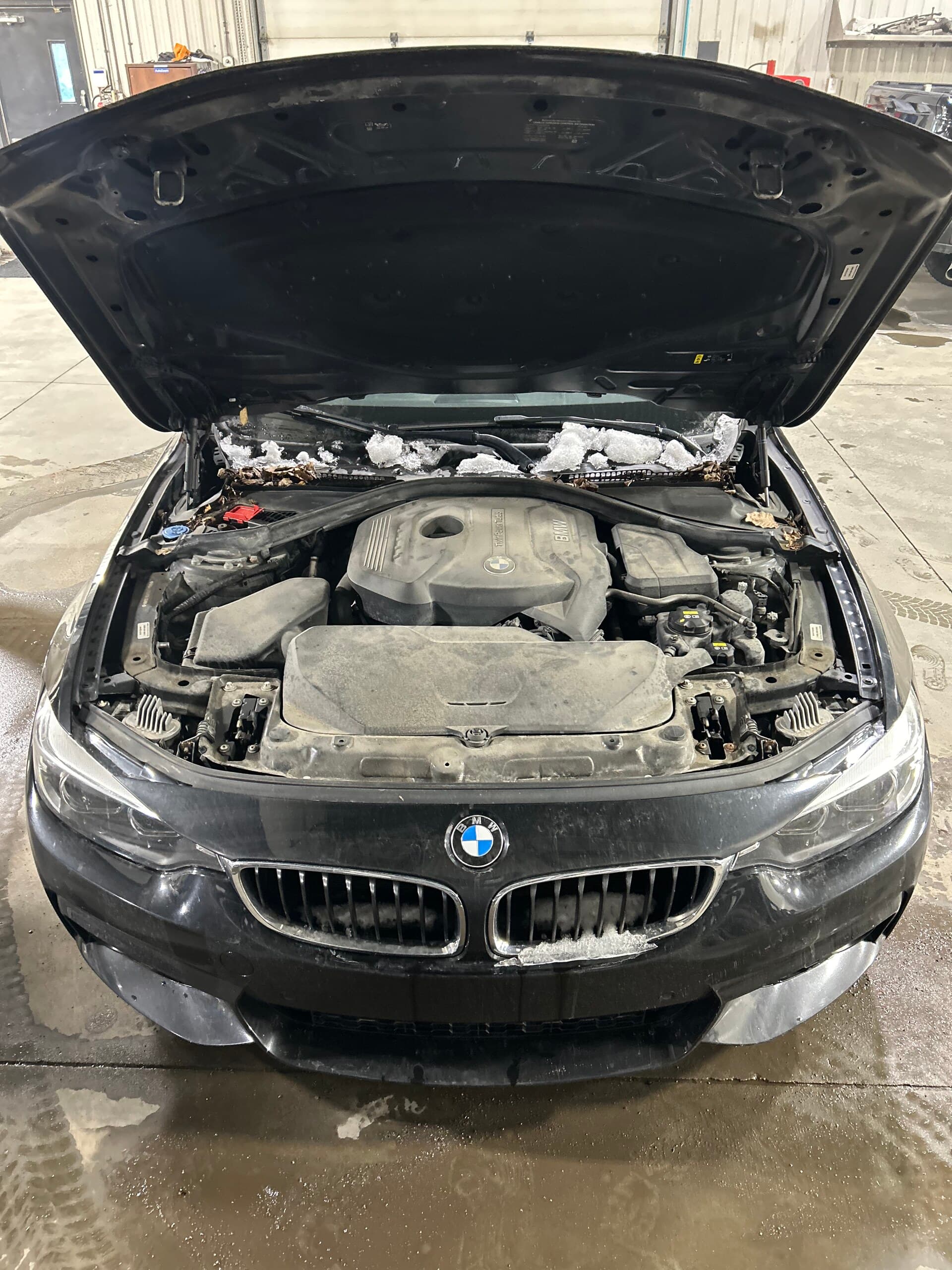 bmw motor 01 — Avant