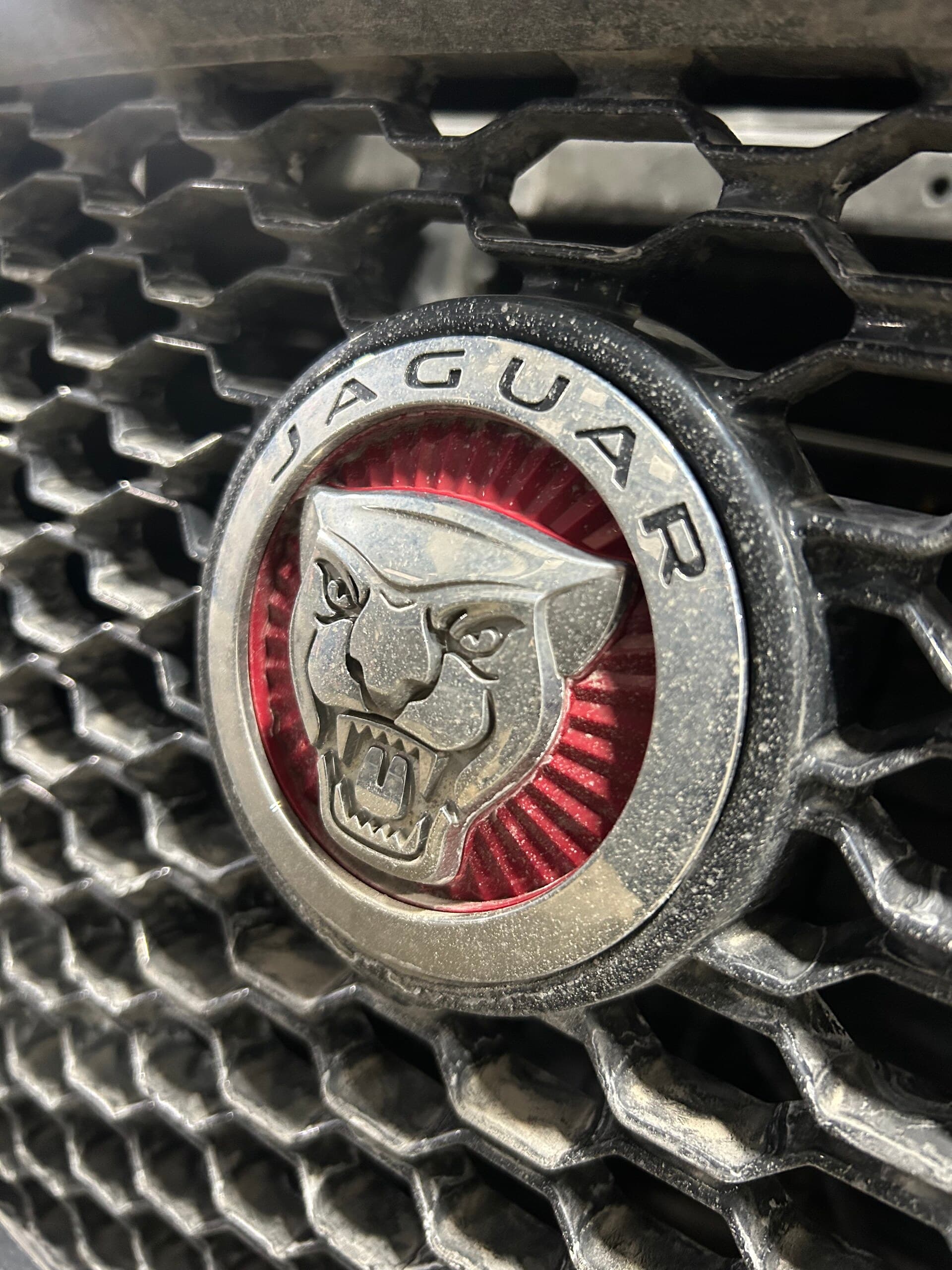 Jaguar