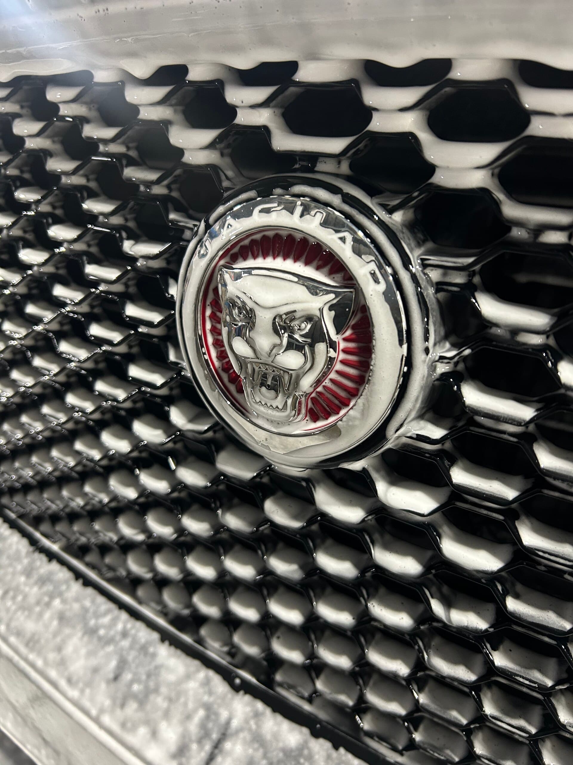Jaguar