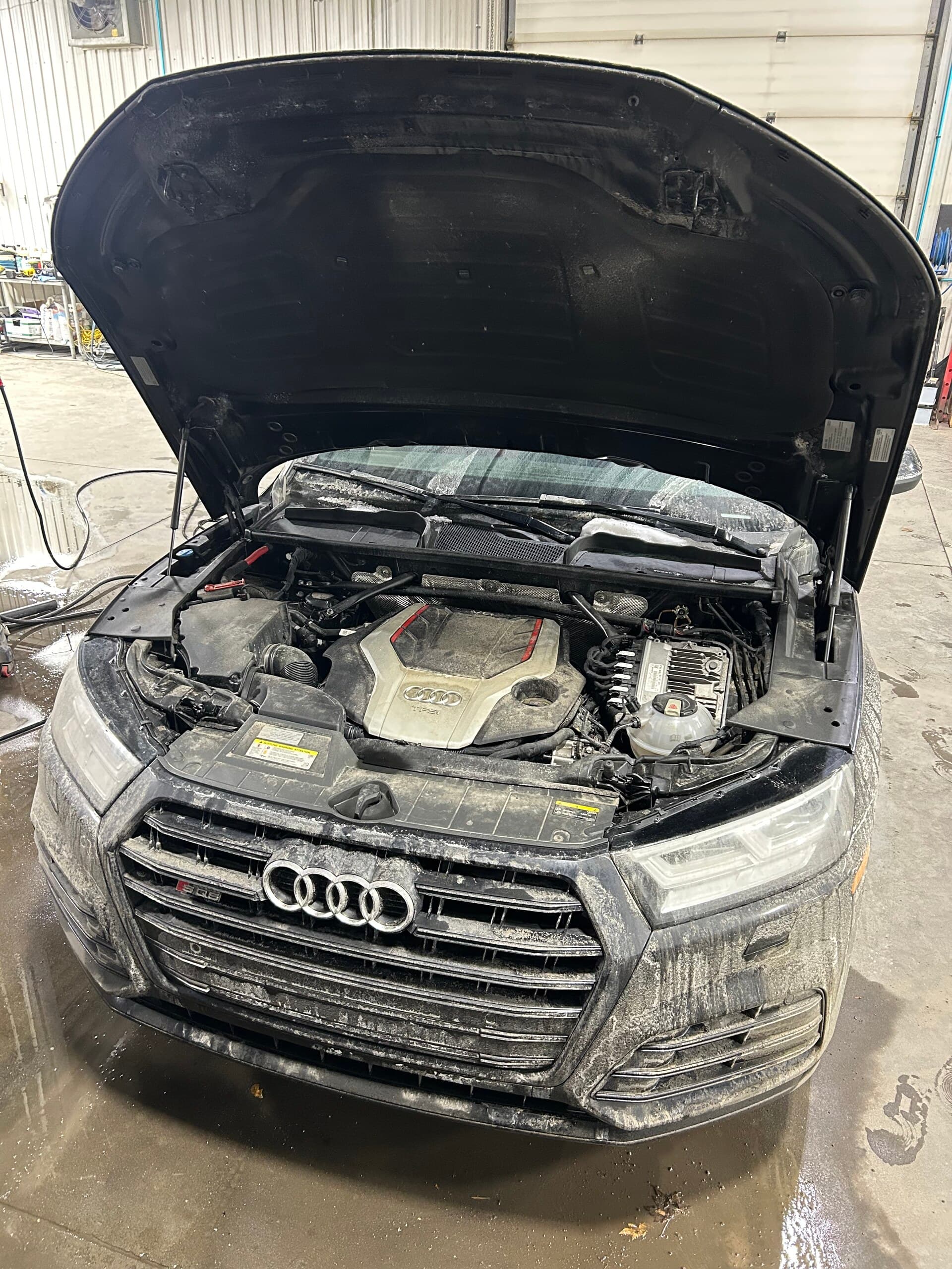 audi sq5 — Avant